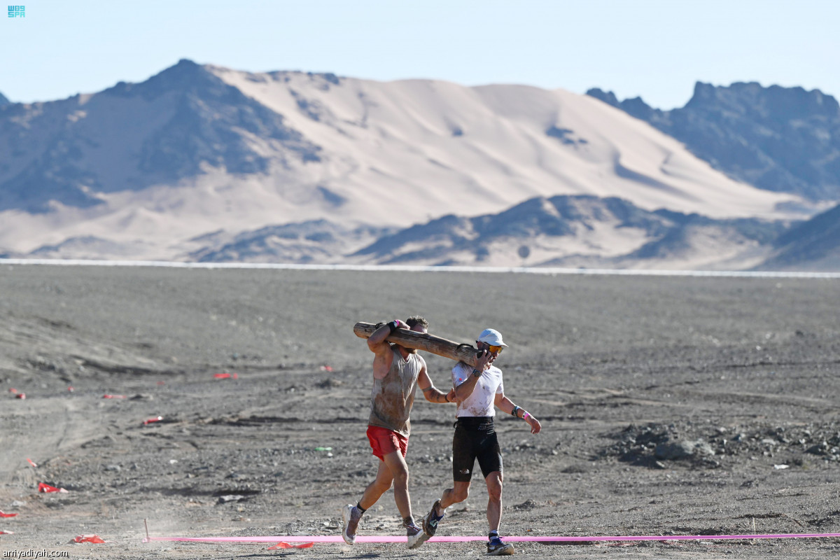 المحارب في العلا