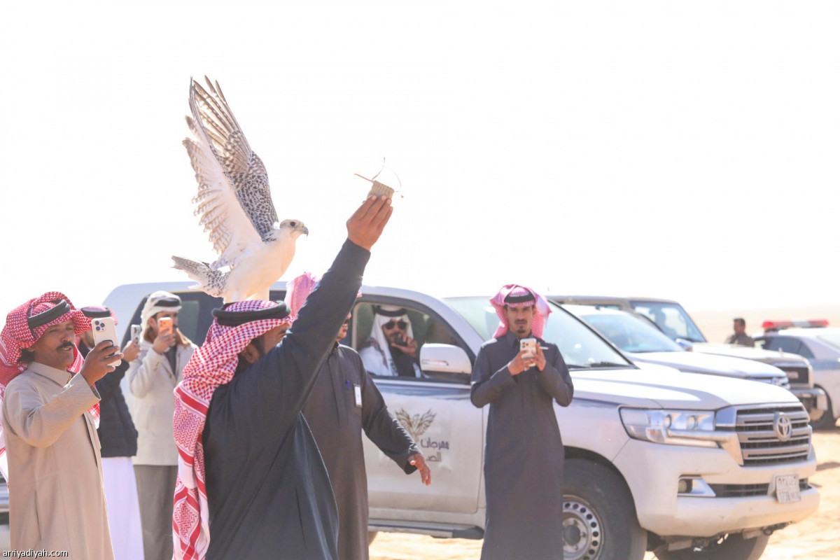 انطلاقة الصقور