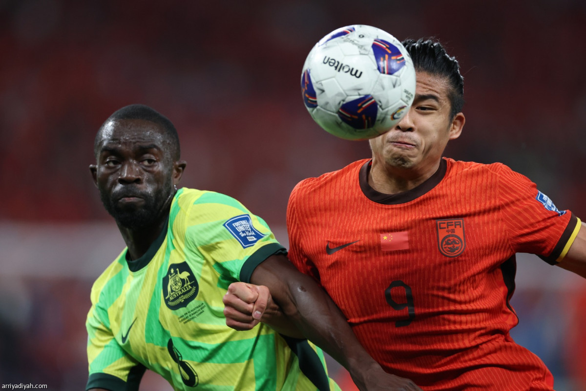 الكنغر يقترب