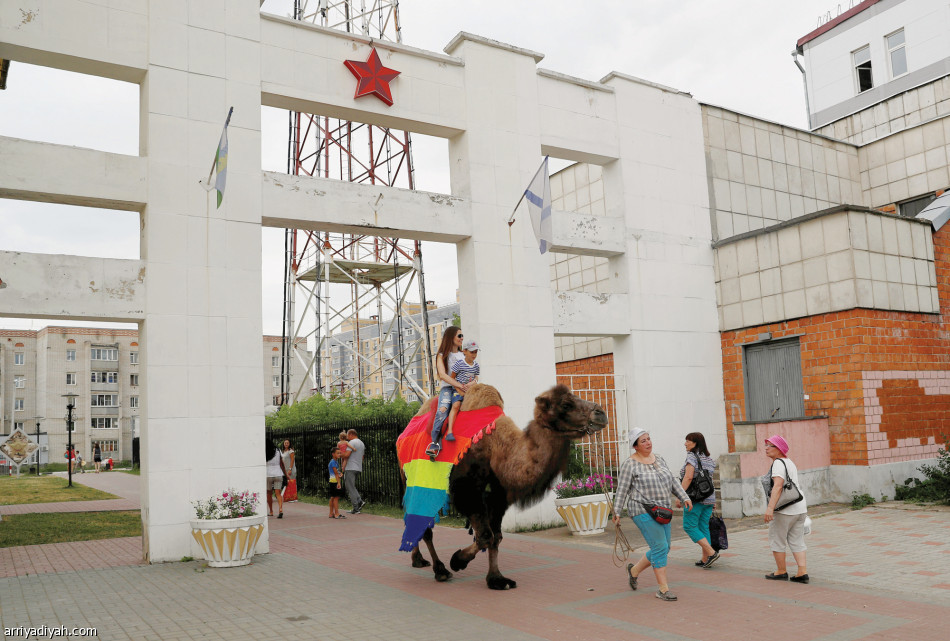 نزهة 
على
الجمال