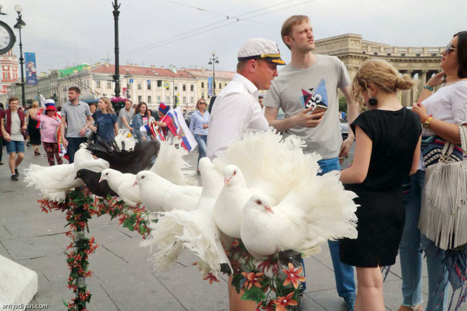 حمامة السلام..
الحفيد يرث مهنة الجدة