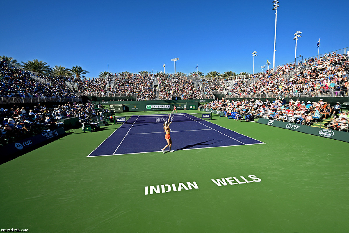 حضور النجوم