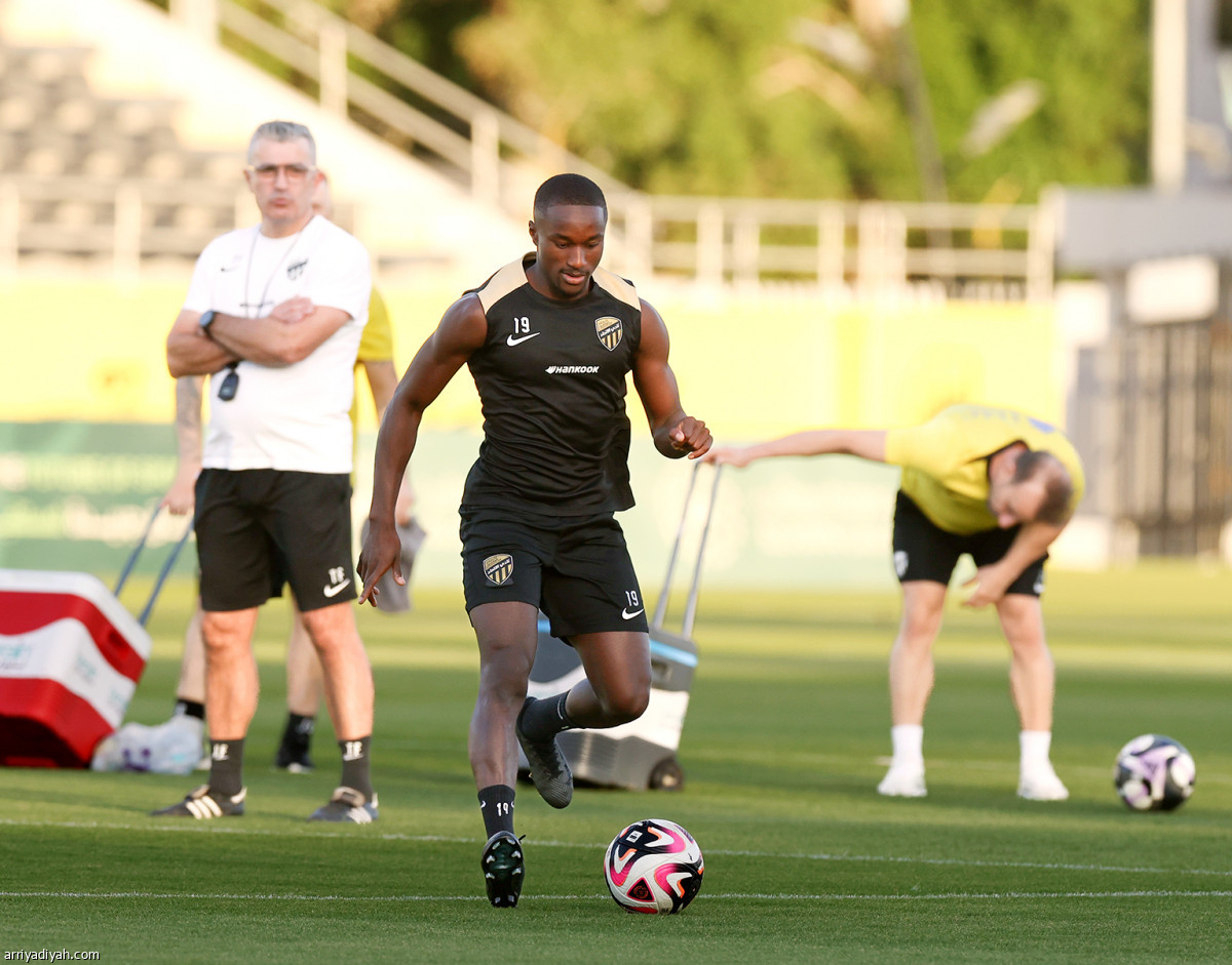 «النمور» تتربص