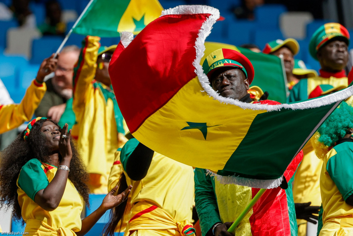 «فراعنة» و«أسود»