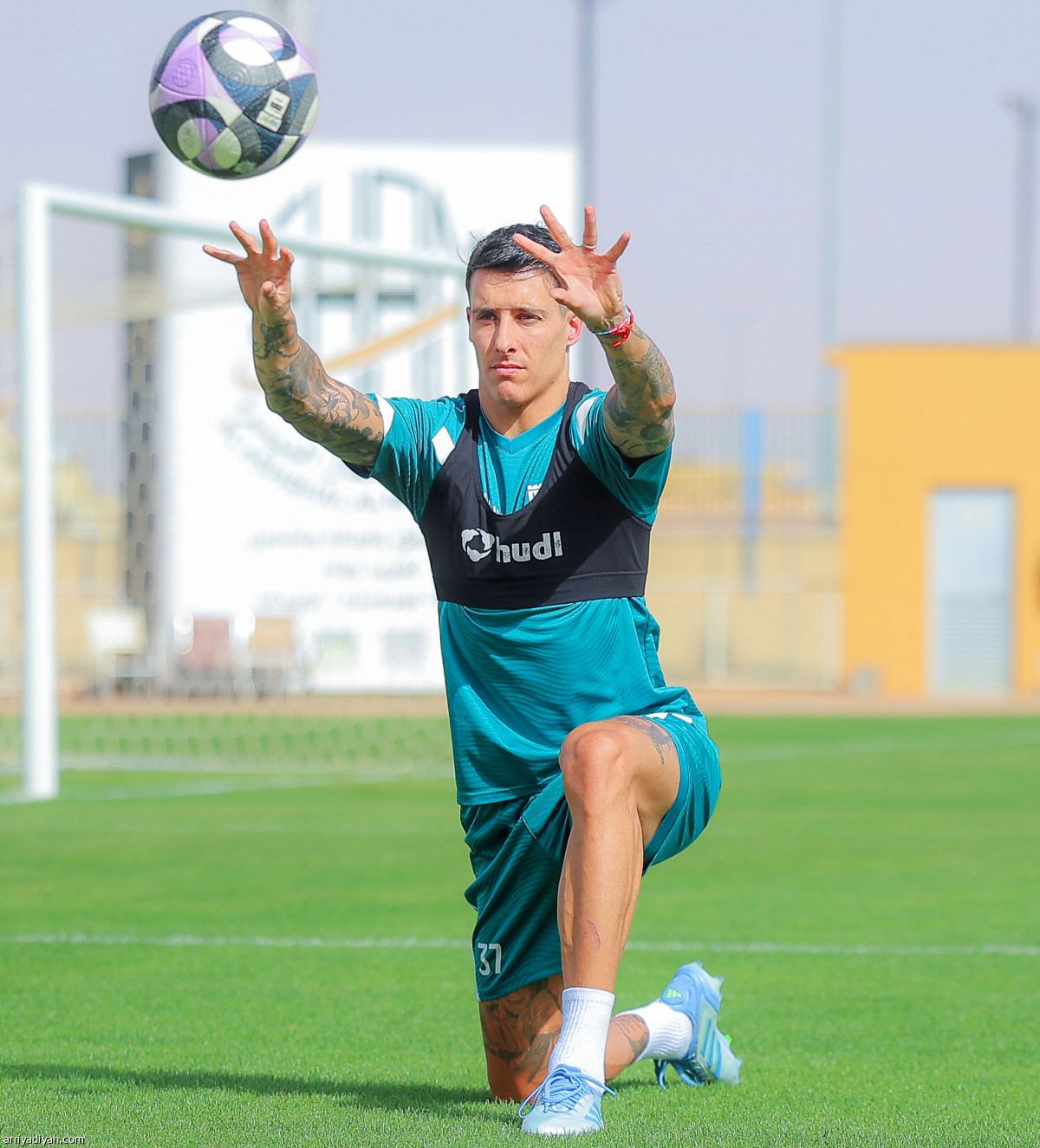 ترفيهي أخير