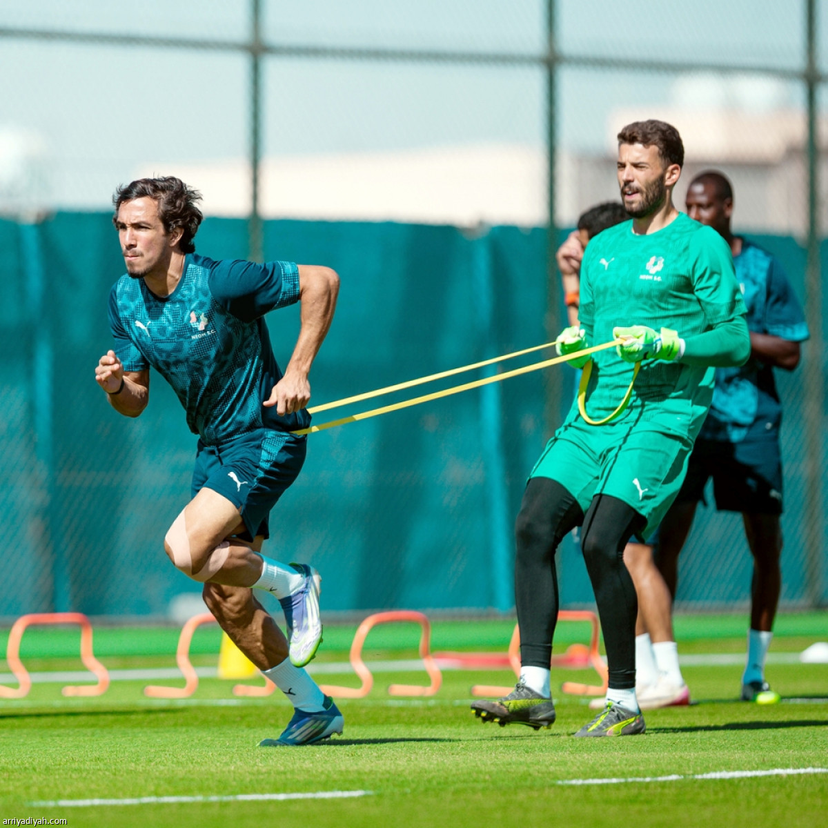 نيوم.. اختبار سرعات