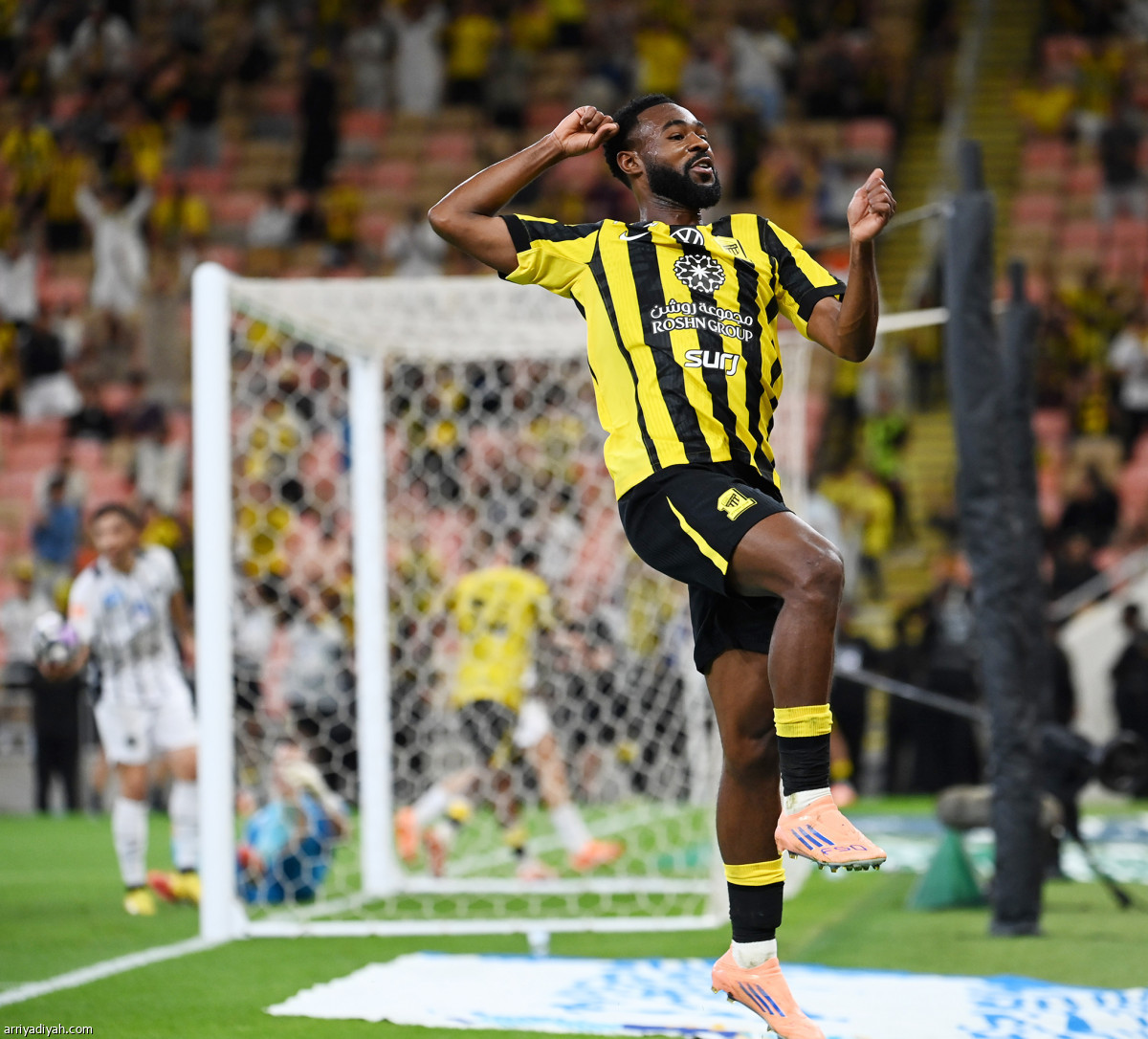 «النمور» تحتفل