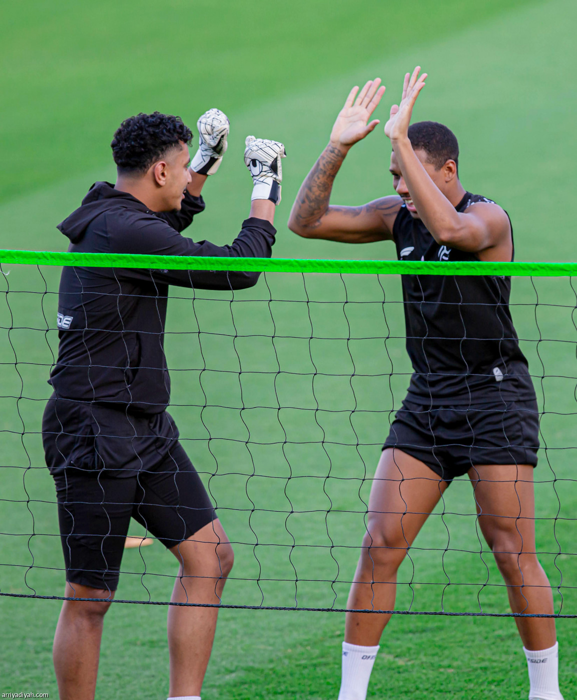 الليوث تعود