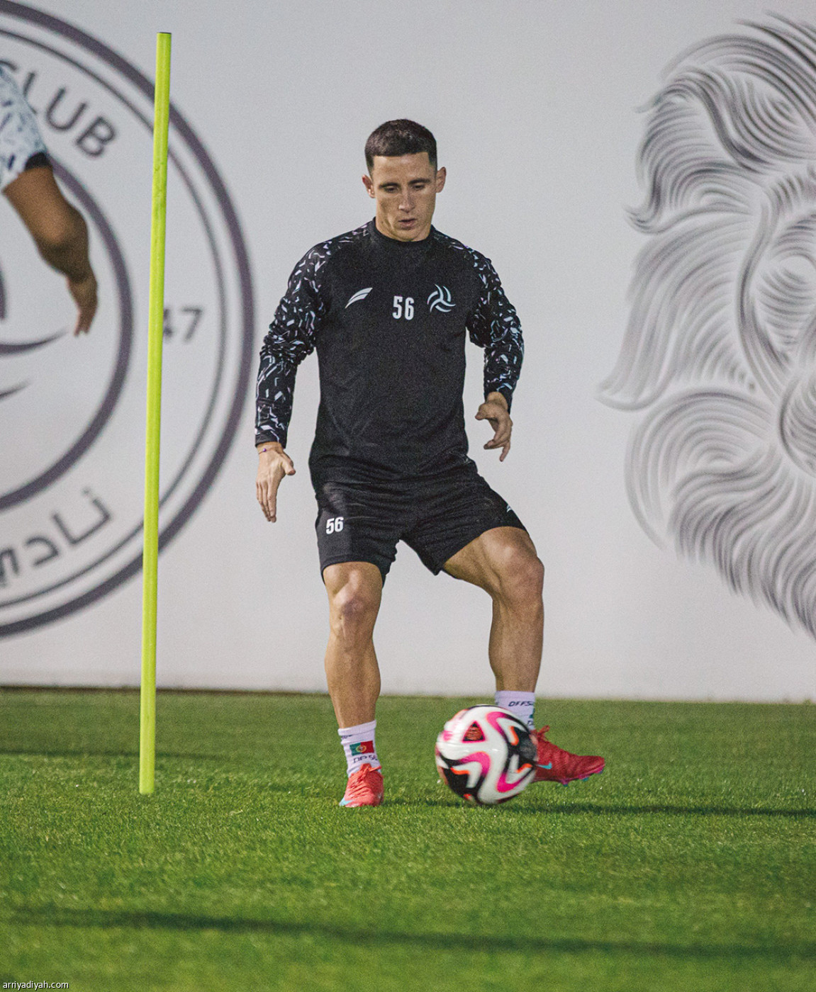 الليوث تستأنف