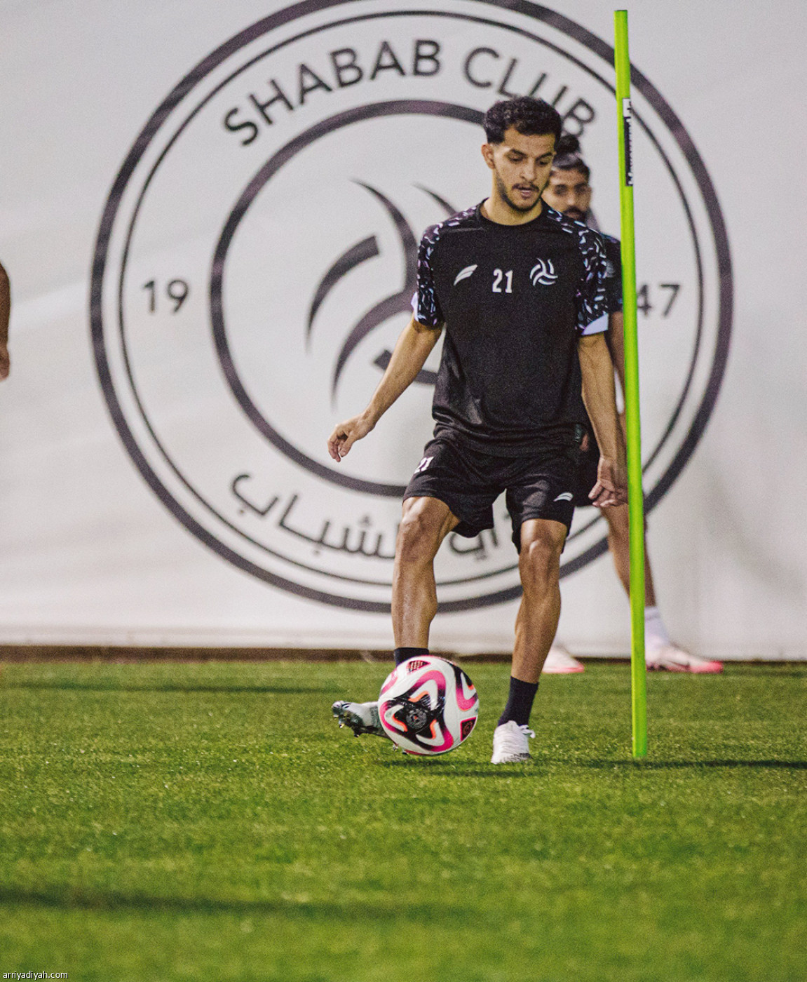 الليوث تستأنف