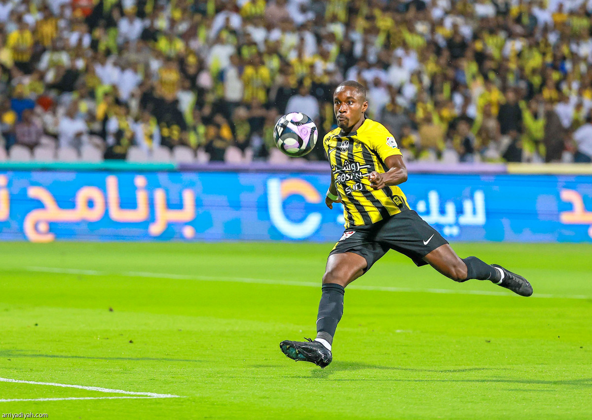 النمور تحلّق